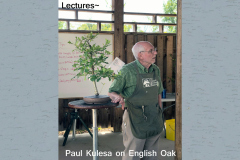 Lecture - Paul Kulesa on English Oak