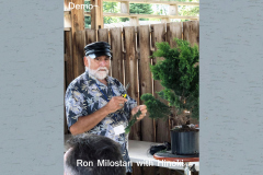 Demo - Ron Milostan with Hinoki