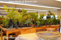 Kens World of Bonsai.com & Tom Phardel Pottery